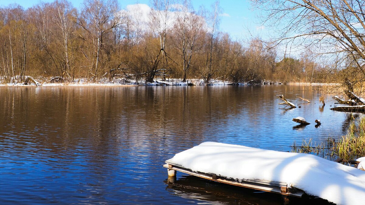 Пустует рыболовное место. - Милешкин Владимир Алексеевич 
