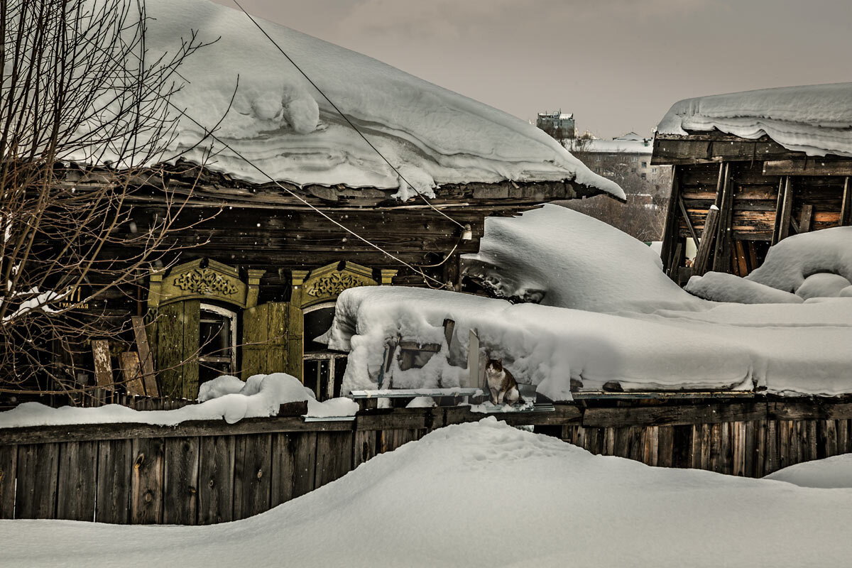 Снег и кот - SanSan 