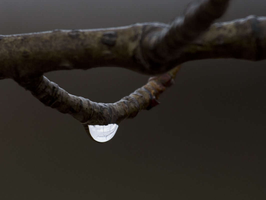 Макро - Олег Денисов