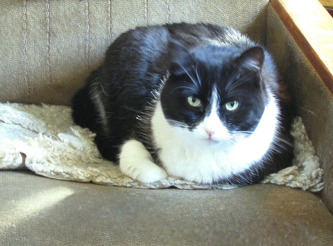 Я отдыхаю - Людмила Смородинская