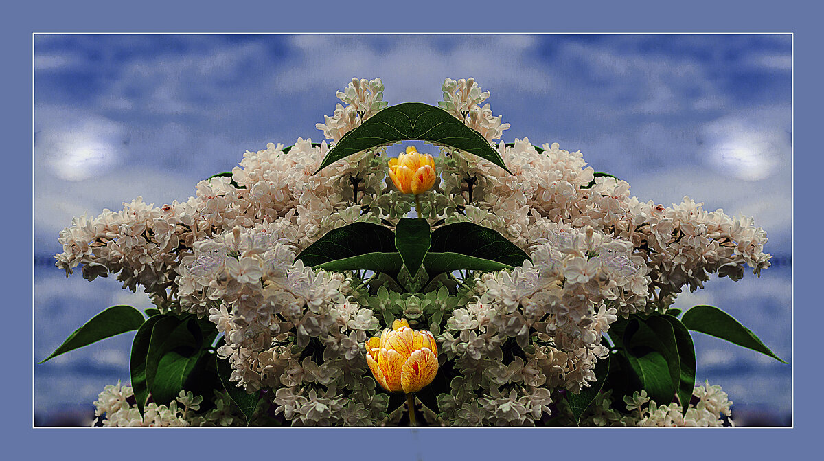 Игра с природой - Владимир Кроливец Игра с природой - Владимир Кроливец