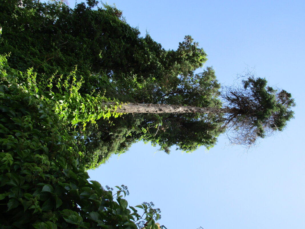 Мармарис июнь Турция - Елена Шаламова Мармарис июнь Турция - Елена Шаламова