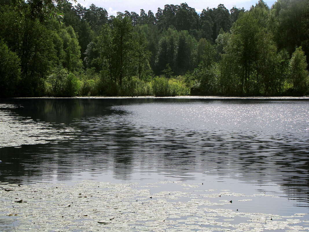 Раифское озеро - Александр Ильчевский Раифское озеро - Александр Ильчевский