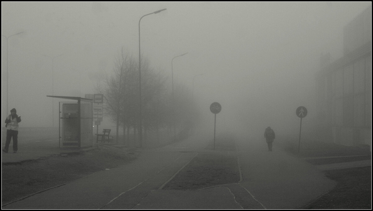 Утро -туман - Aleksandr Gal