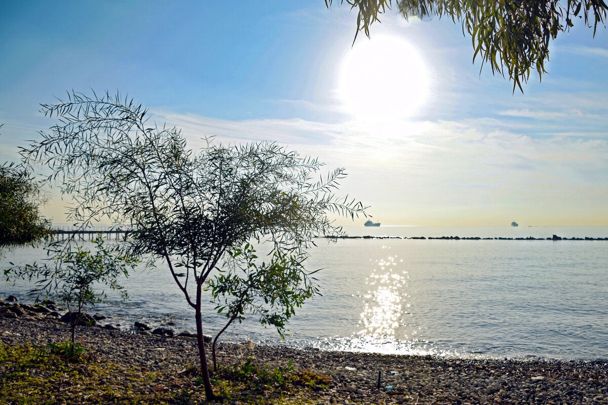 Утро - Oleg4618 Шутченко Утро - Oleg4618 Шутченко