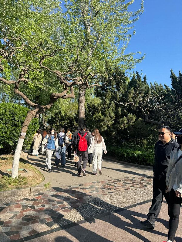 Весна в Китае - Ирэн 