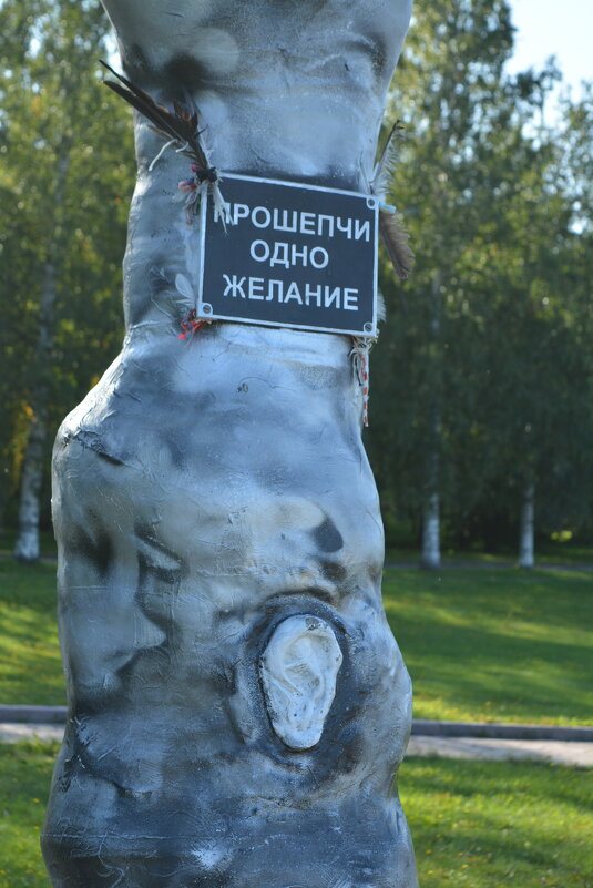 Петрозаводск. Дерево желаний - Николай 