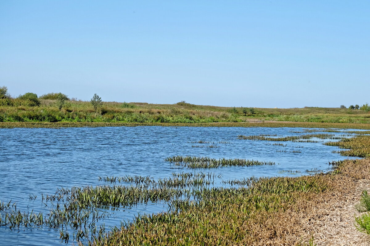 Заливные луга - Валерий Судачок