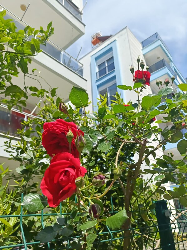 Апрель в Анталье - Виктор 