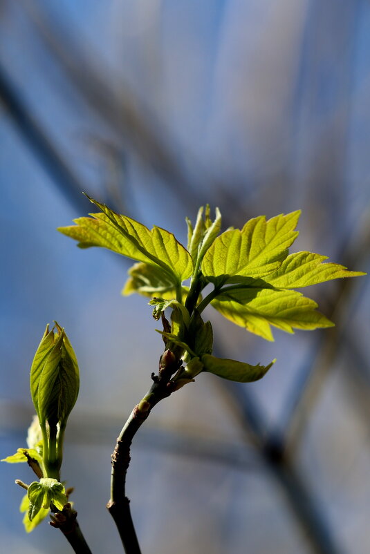 Нет-зиме!!! - Александр Кондаков Нет-зиме!!! - Александр Кондаков