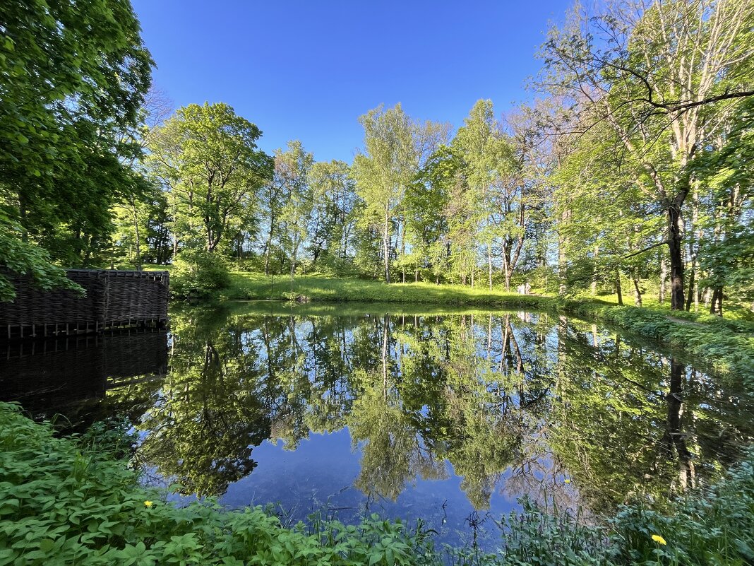 Ясная Поляна - Александр Конов Ясная Поляна - Александр Конов