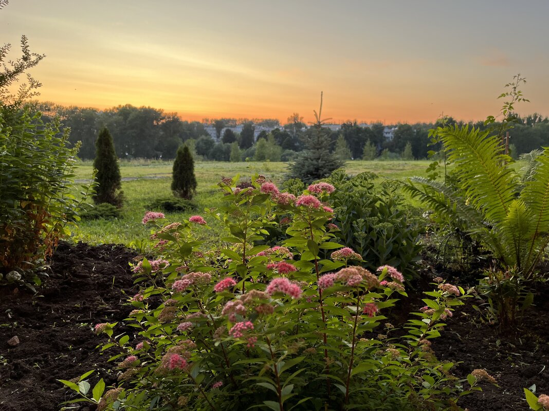 Закат -возле дома полисадник - Александр Конов Закат -возле дома полисадник - Александр Конов