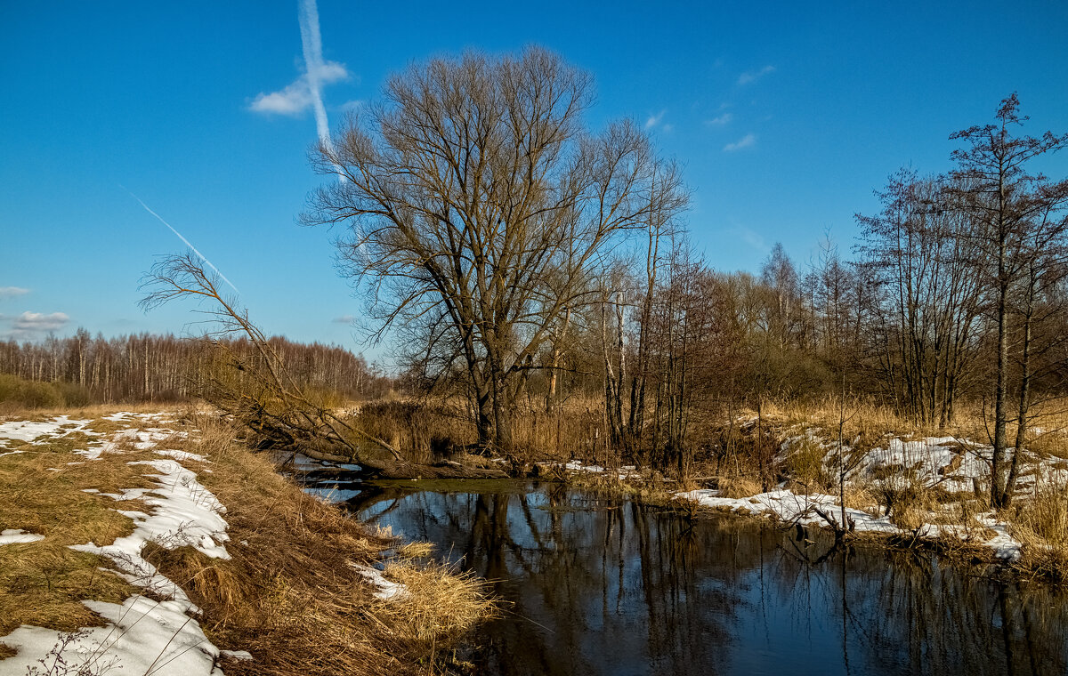 Вербное воскресенье в 2025 году 3 - Андрей Дворников