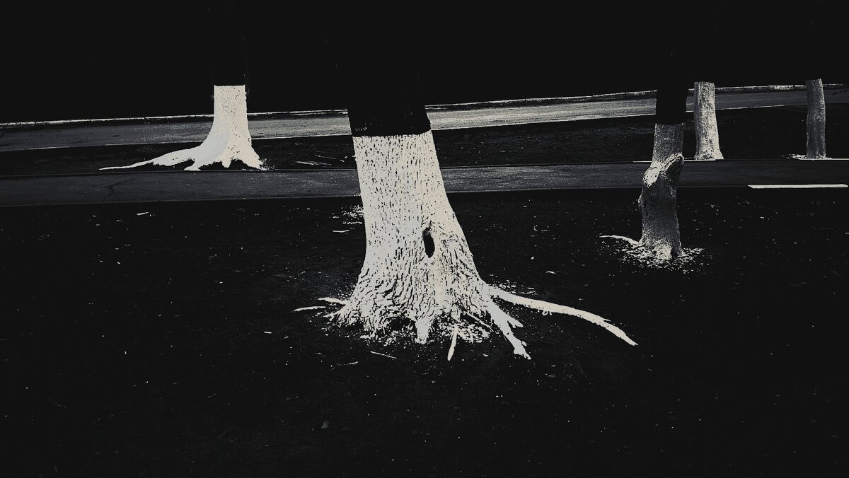 известь-1 - Николай Семёнов