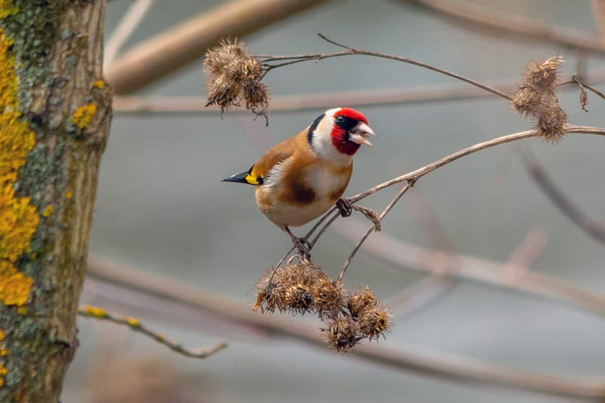 ** - Виталий Емельянов