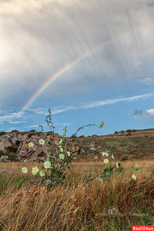 Радуга и слепой дождь - Игорь Сарапулов Радуга и слепой дождь - Игорь Сарапулов