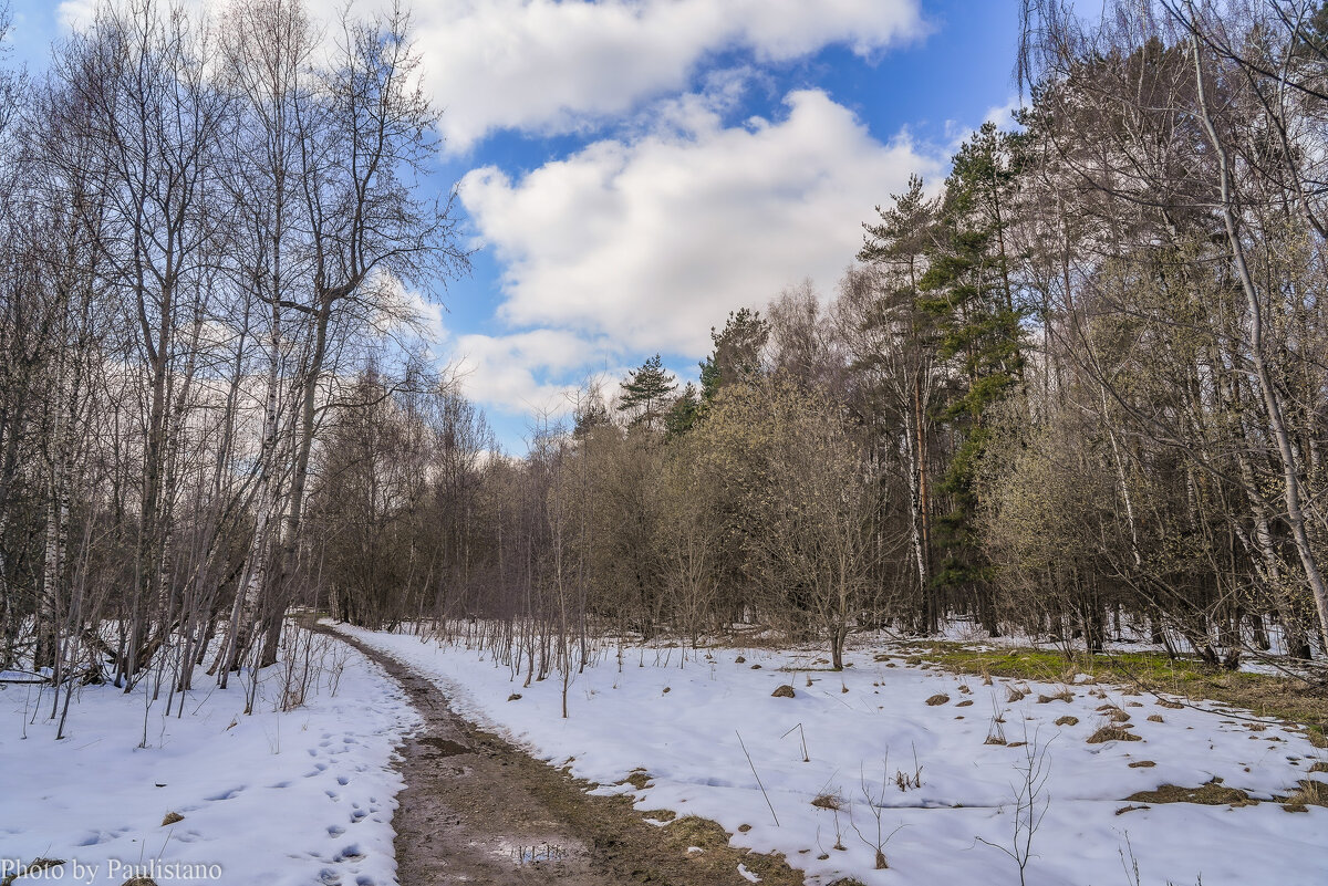 Палитра апреля... - Владимир Жданов