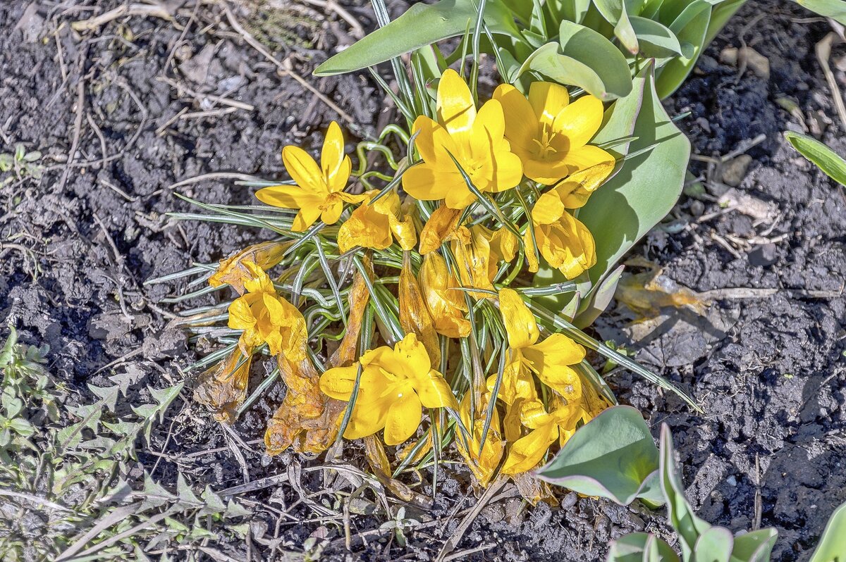 После снежного плена - Валерий Иванович