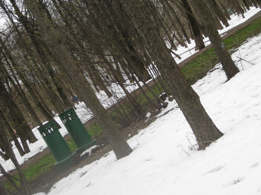 Весна пришла! - Дмитрий Никитин Весна пришла! - Дмитрий Никитин