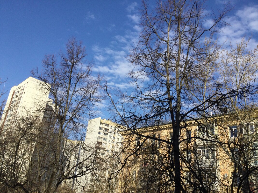 Здравствуй, утро! Ты - прекрасно. - Галина Здравствуй, утро! Ты - прекрасно. - Галина