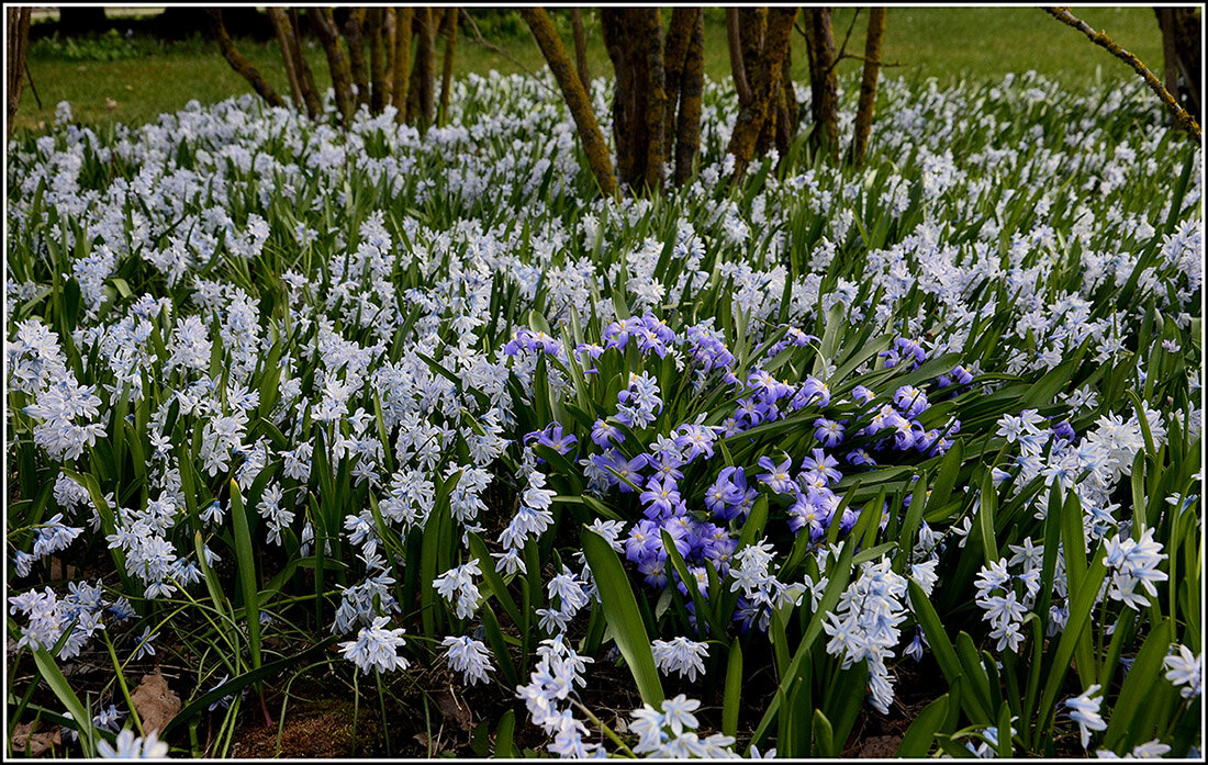 Победное шествие ВЕСНЫ - Aleksandr Gal
