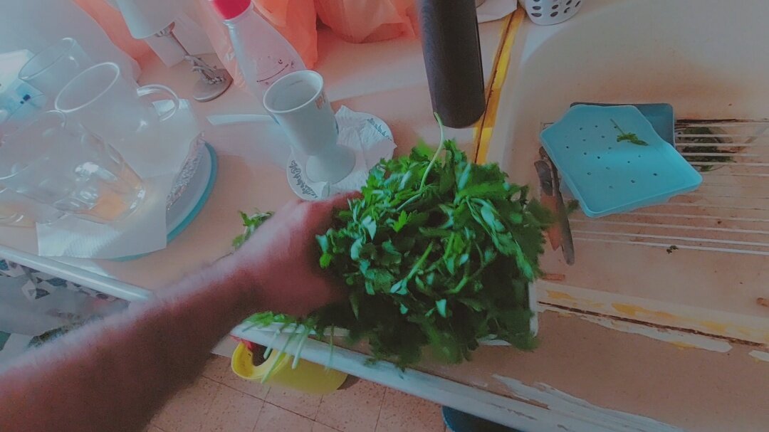 12  КЛОС (985) - CLOSE WAYS ALL