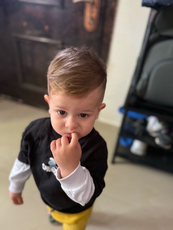 Том после стрижки. - Светлана Хращевская Том после стрижки. - Светлана Хращевская