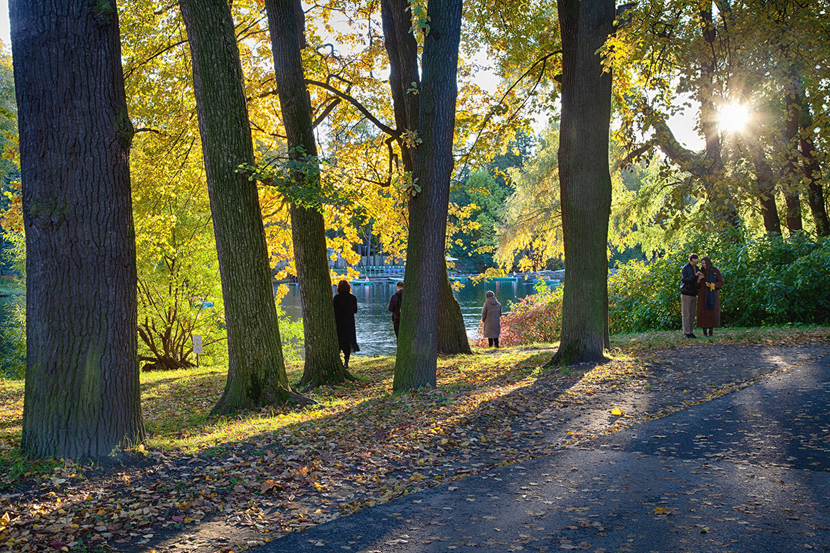 Чудесного осеннего дня вам в ленту! - Лилия * Чудесного осеннего дня вам в ленту! - Лилия *
