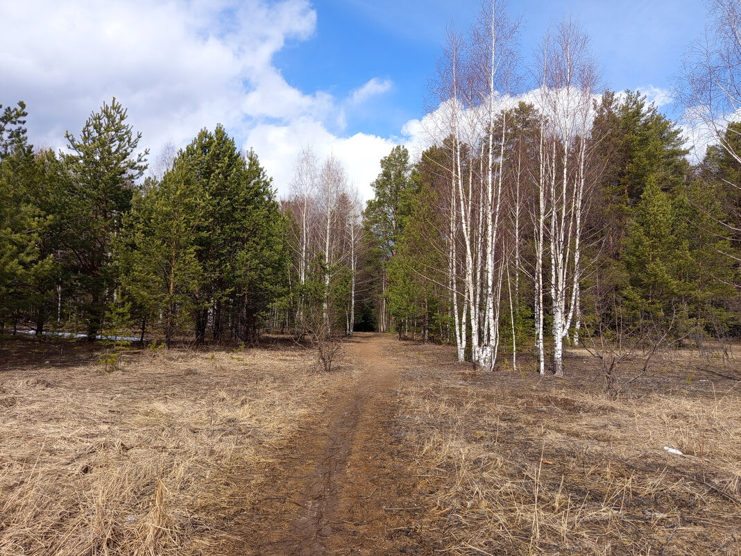 Апрель. - Алена Апрель. - Алена