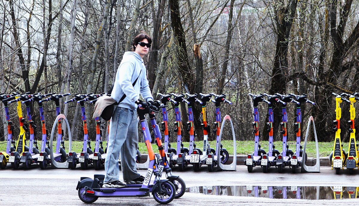 Наездник. - Василий Палий