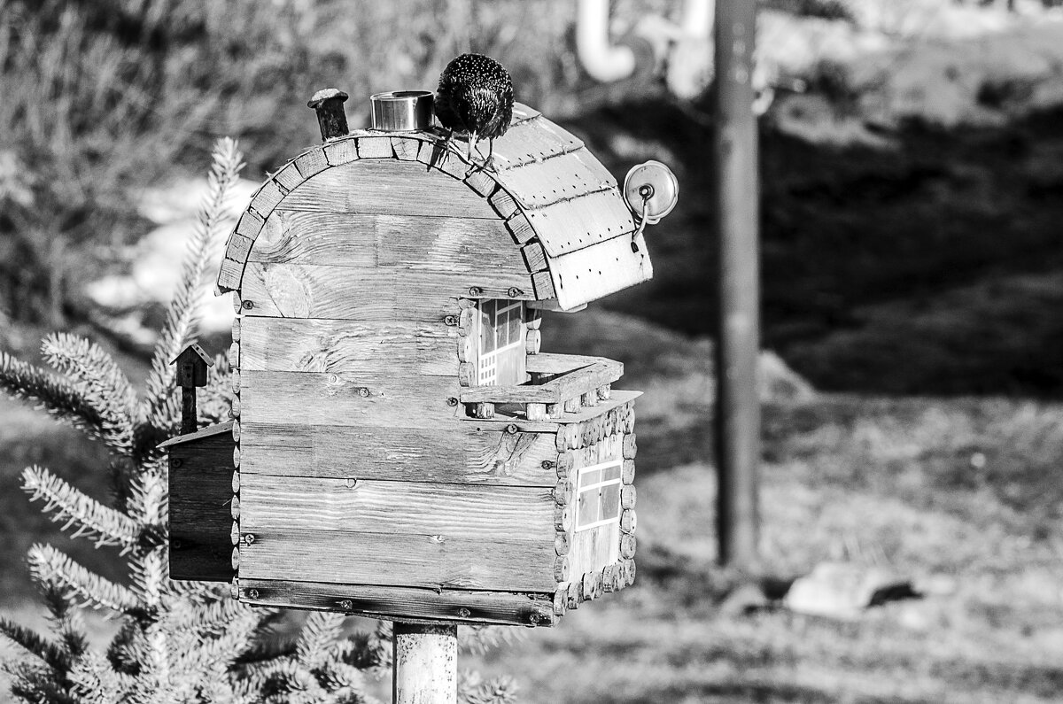 Узрел - Андрей Щетинин Узрел - Андрей Щетинин