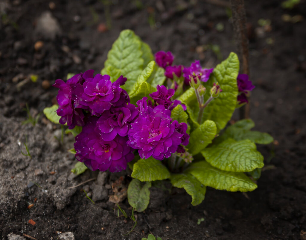 случайный кадр. - Андрей Герасименко