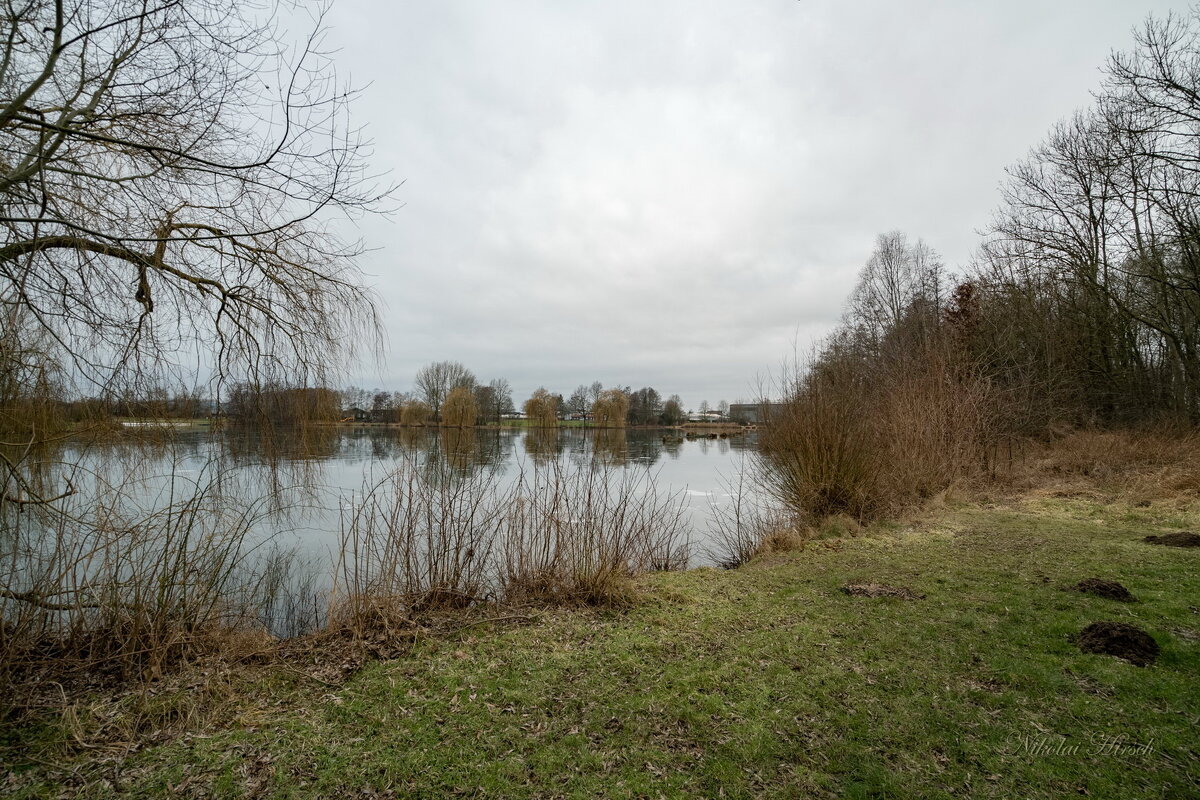 В январе... - Николай Гирш