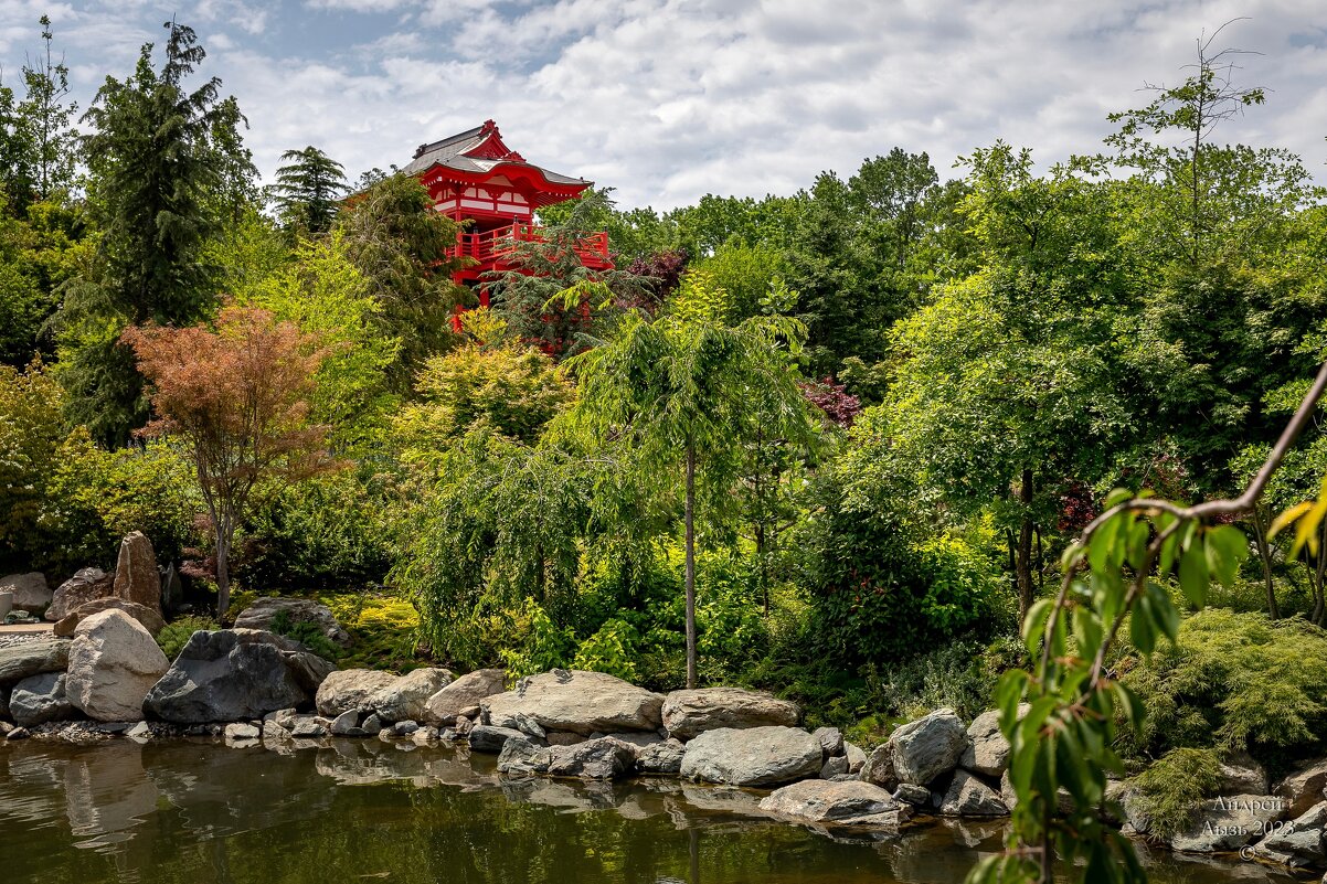 Парк Галицкого. Краснодар - Андрей Lyz Парк Галицкого. Краснодар - Андрей Lyz