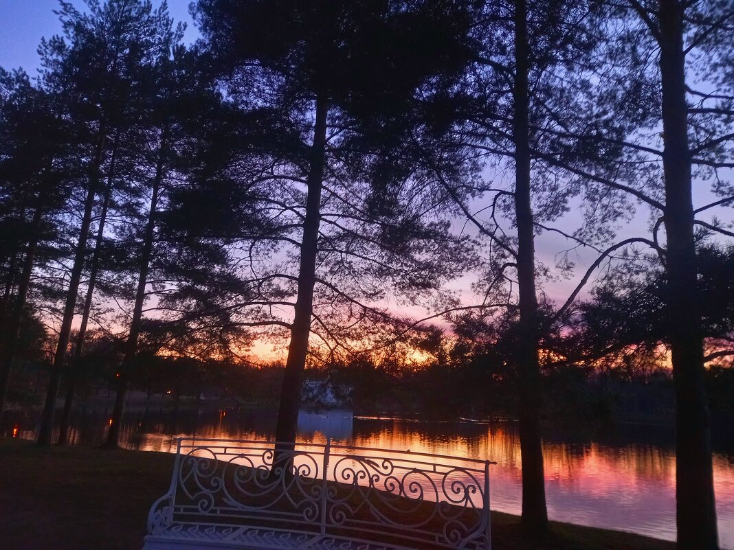 Закат - Сапсан 