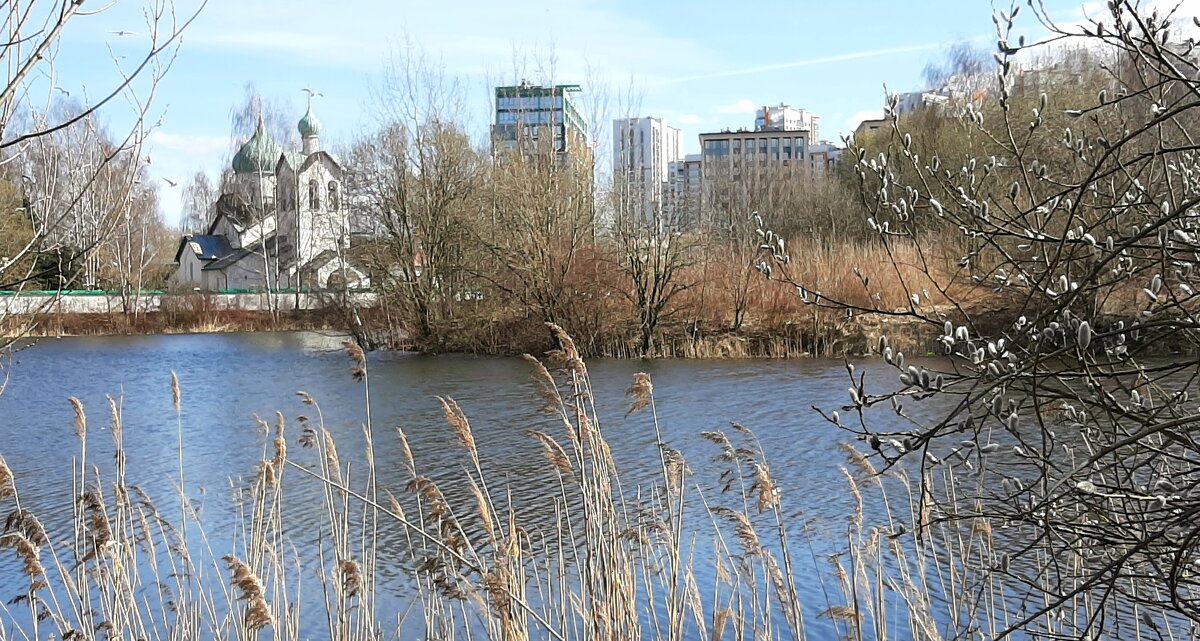 Вербное воскресенье - Наталья Герасимова
