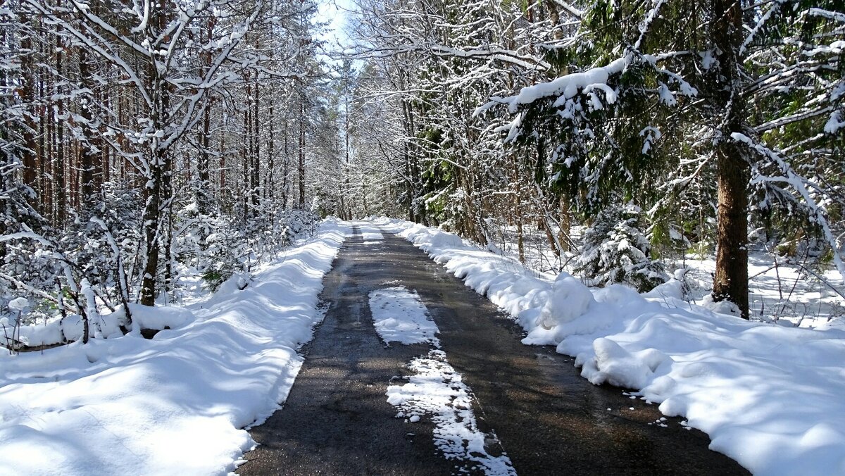 И в апреле бывает снегопад. - Милешкин Владимир Алексеевич 