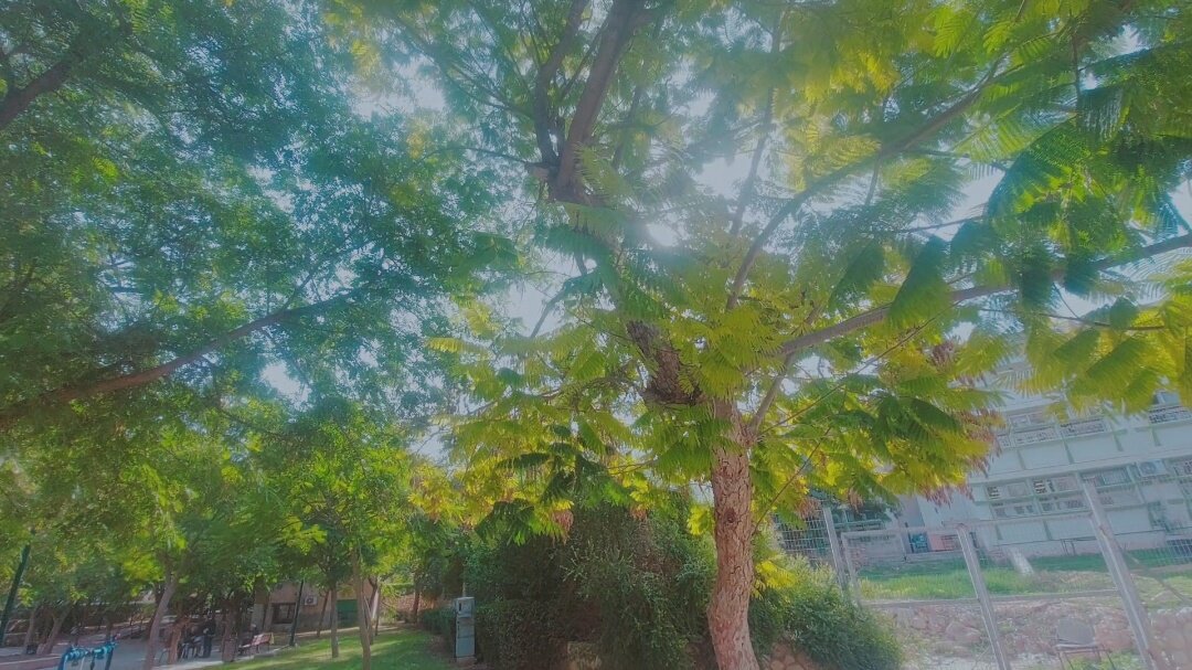 12  КЛОС (992) - CLOSE WAYS ALL