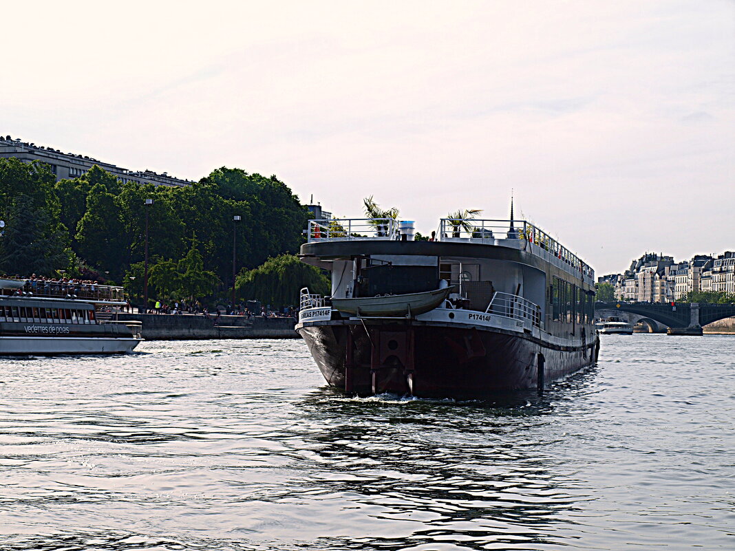 Париж. - Владимир Драгунский