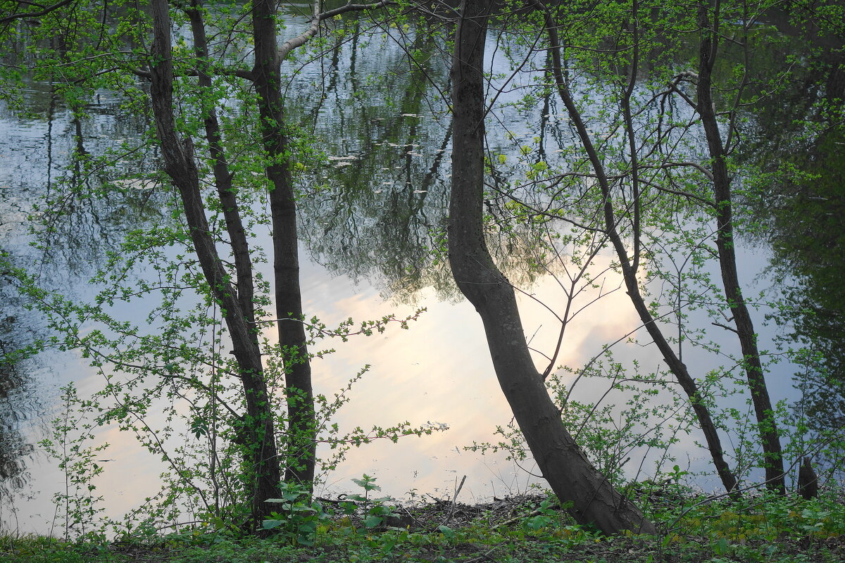 Вечерние зарисовки - Рита Симонова Вечерние зарисовки - Рита Симонова