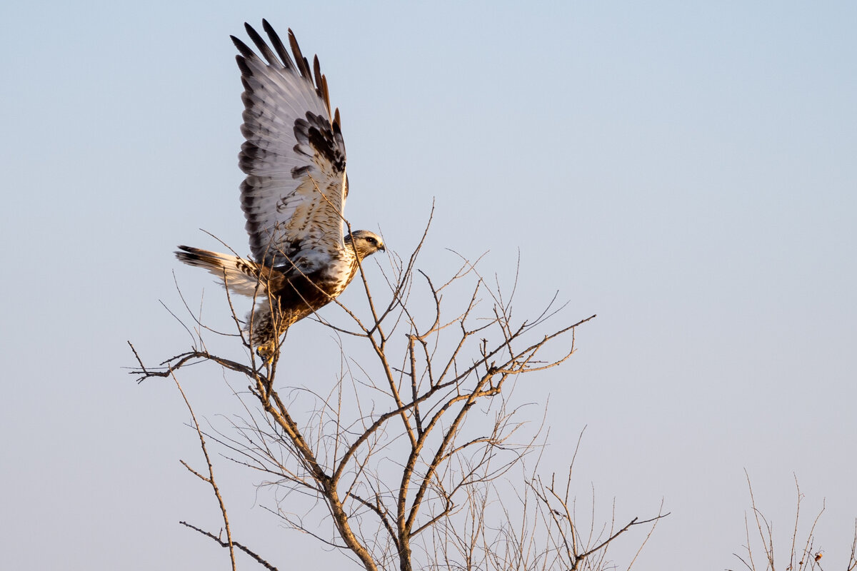 Белеет парус одинокий - Сергей Флетчер