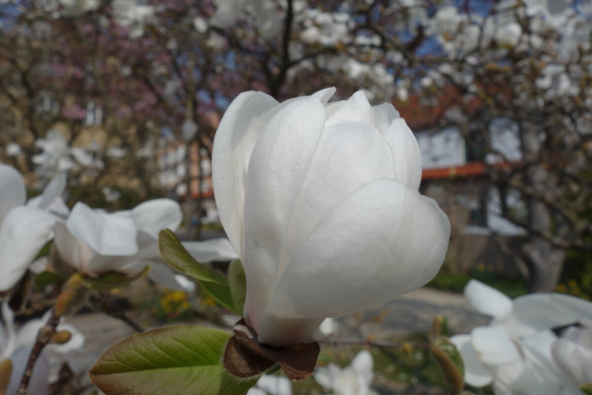 ... - Галина ... - Галина