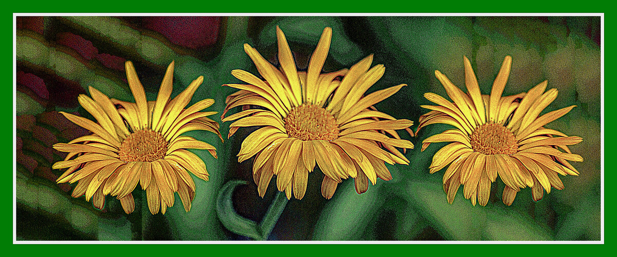 Цветочная триада - Владимир Кроливец