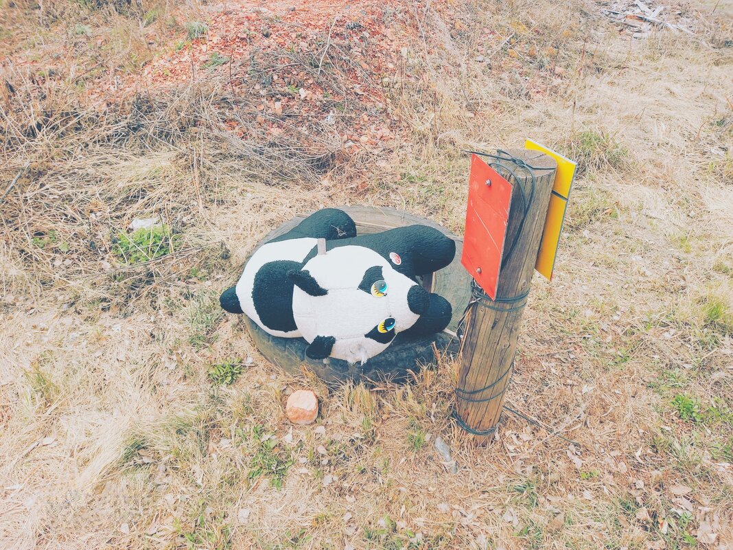 Детский аттракцион. - Игорь Солдаткин