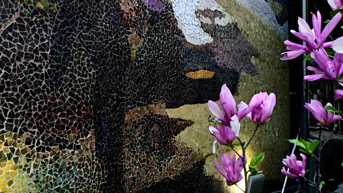 Магнолии. - Эника. 