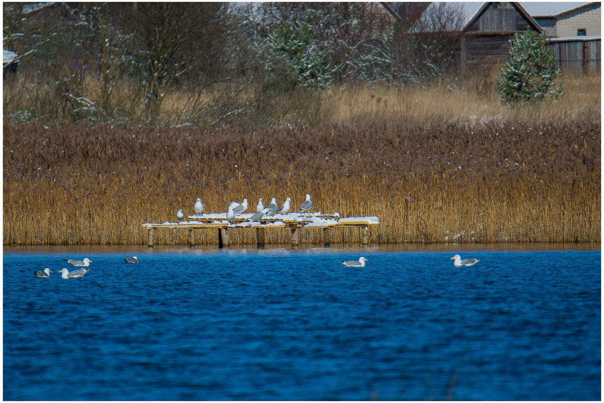На отдыхе... - Sergey (Apg)