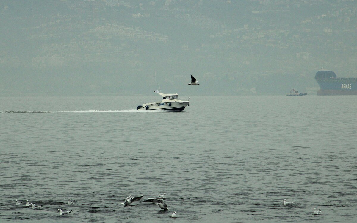 Кто быстрее. - веселов михаил 