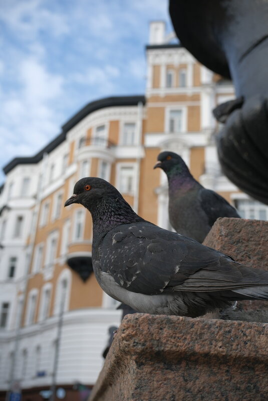 Зоопортрет - Лютый Дровосек