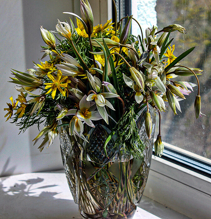 Букет первоцветов - Светлана SvetNika17 Букет первоцветов - Светлана SvetNika17