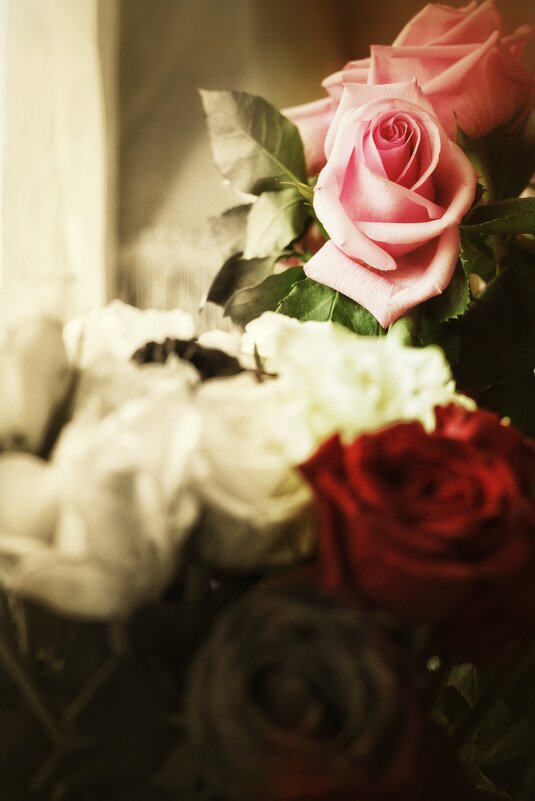 ... ... - Руслан 